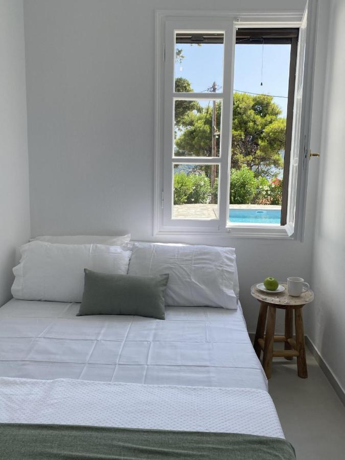 Villa Icelle Skopelos Town Sea View Swimming Pool Exterior photo
